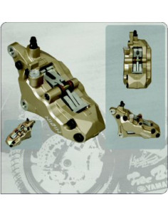 Etrier de frein 6 pistons avant droit Or Nissin 2