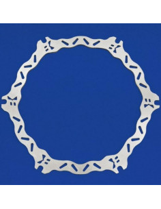 Disque de frein BRAKING Pétale fixe - BL02FID