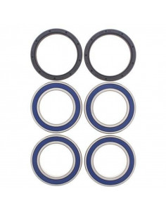 Kit roulements de roue avant ALL BALLS Can Am DS450
