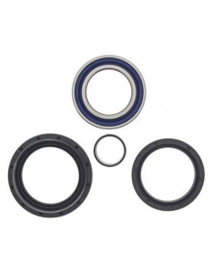 Kit roulements de roue avant/arrière ALL BALLS Honda TRX400