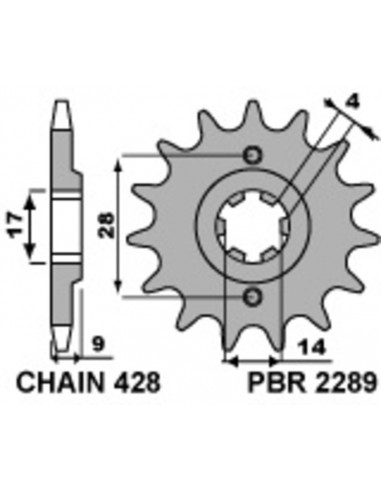 Pignon PBR acier standard 2289 - 428