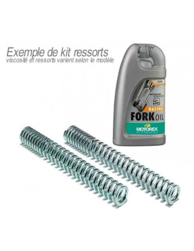 Kit ressorts de fourche BITUBO + huile de fourche MOTOREX Piaggio X9 200 CC EVO