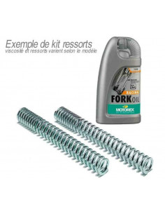 Kit ressort de fourche BITUBO tarage progressif avec huile de fourche MOTOREX Yamaha XT660X, R