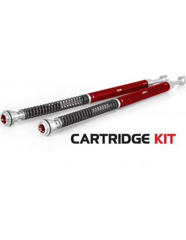 Kit cartouche YSS