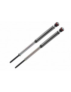 Kit cartouche de fourche Bitubo JBH -30mm HARLEY DYNA FXDB1 STREET BOB