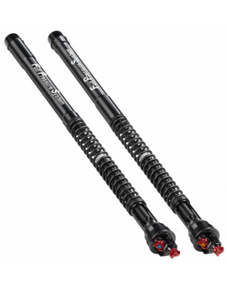 Kit Cartouche de fourche Bitubo ECH29 YAMAHA R1M Kit Cartouche de fourche Bitubo ECH29 YAMAHA R1M