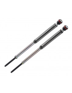 Cartouches de fourche BITUBO RM14/RM15 Yamaha Tracer 700