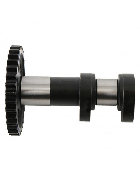 Arbre à cames échappement HOT CAMS - Niveau 1 & 2 KTM