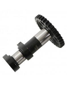 Arbre à cames échappement HOT CAMS - Niveau 1 & 2 KTM 2