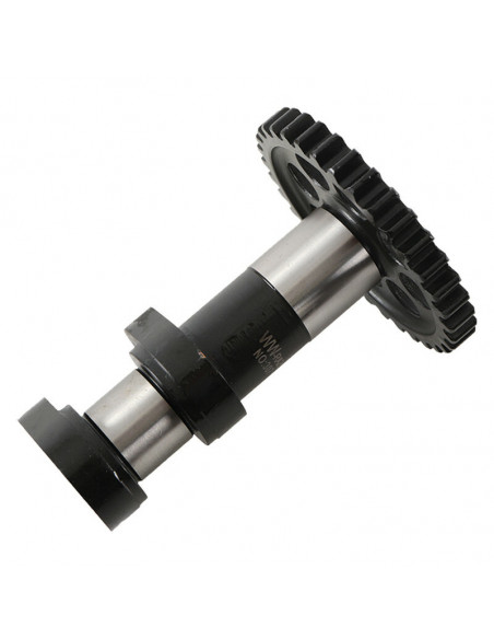 Arbre à cames échappement HOT CAMS - Niveau 1 & 2 KTM