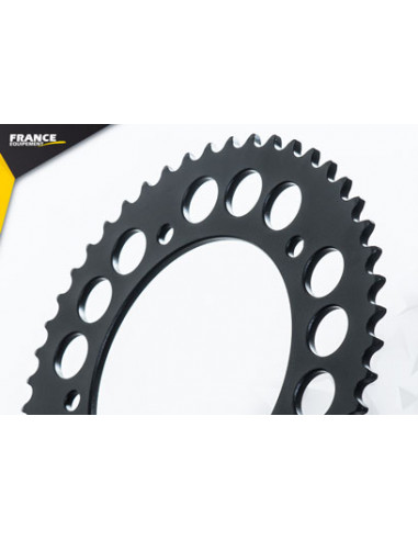 INDIAN 1200.FTR/FTR S '19 17X49 RK525RO *