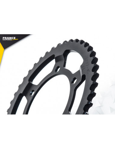 R1.1000 YZF '06/08 17X45 RK530FEX µ