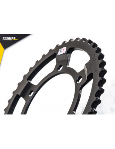 FZS.1000.FAZER '01/05 16X44 RK530GXW *  (RN06/RN14)