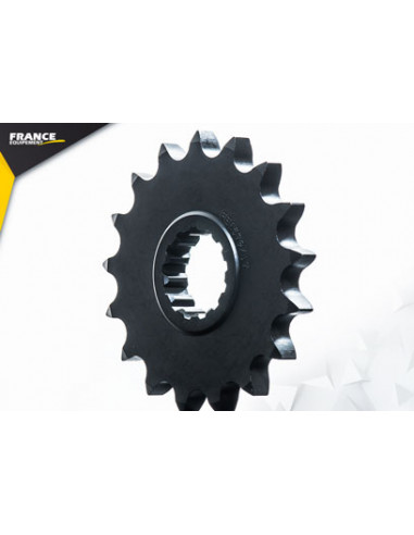 XJR.1300 '99/01 17X38 RK530GXW *  (5EA3,5EA6)