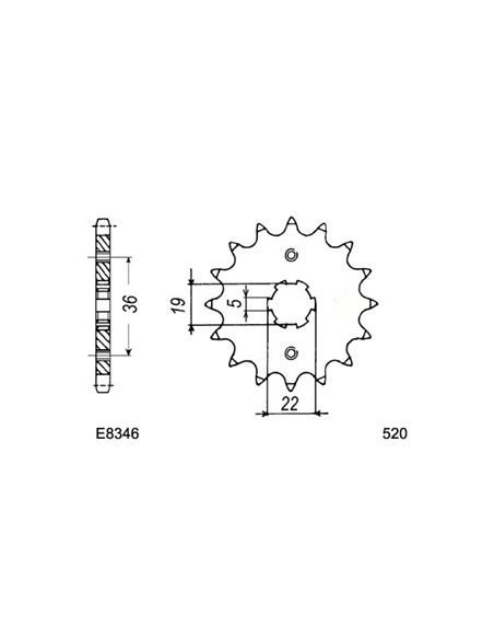 TRX.300 EX FOUTRAX'93/09 13X38 RK520FEX *