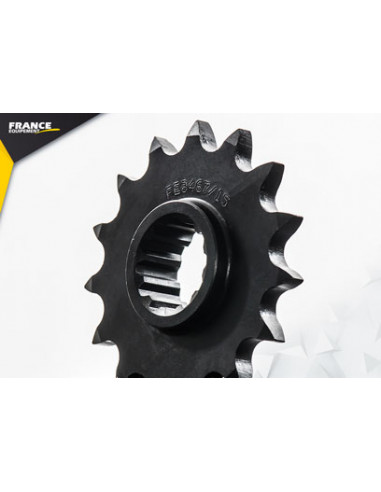 CBF.600 '04/07 15X43 RK525KRO µ  (PC38) (Nacked+Sport)