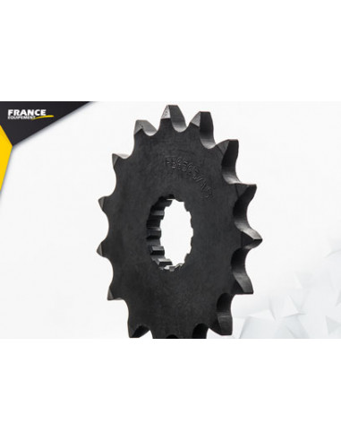 Z.650.H  Abs '17/19 15X46 RK520FEX *