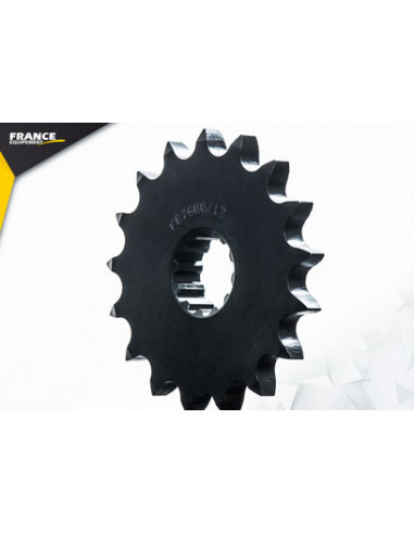 ZRX.1200 '00/06 17X42 RK530FEX µ  (ZR1200R AP, AH)