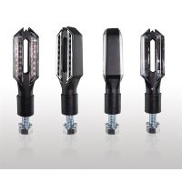 Clignotants  Douglas Led 2