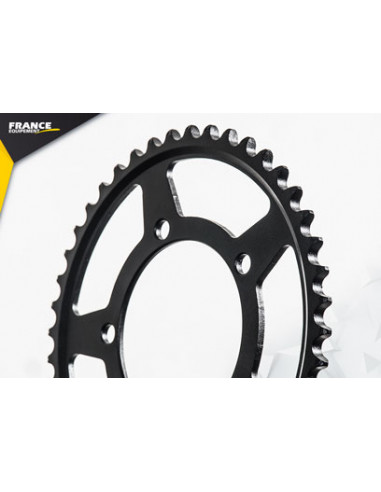 750.SL SHIVER '07/16 16X44 RK525FEX *