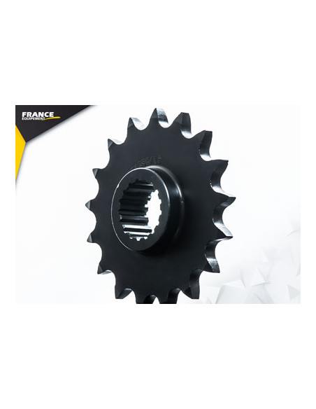 F.650 GS '08/15 17X41 RK525FEX * (percage 8.5 mm)