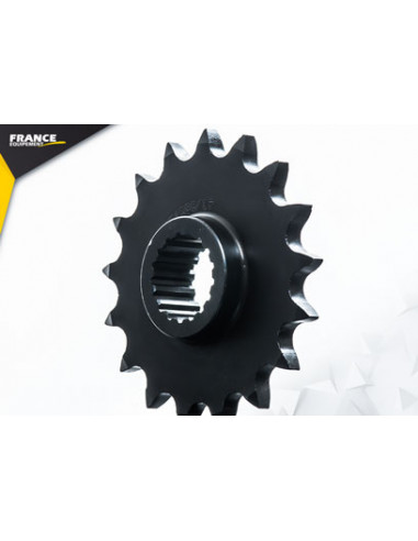 F.650 GS '08/15 17X41 RK525RO (percage 8.5 mm)