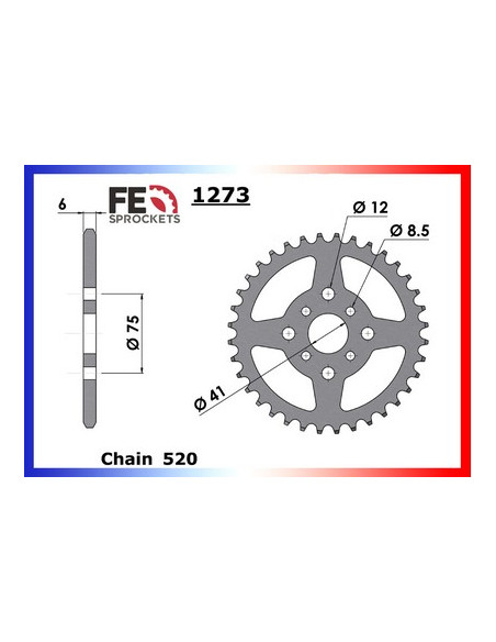 BASHAN.250 QUAD '06 13X36 RK520GXW