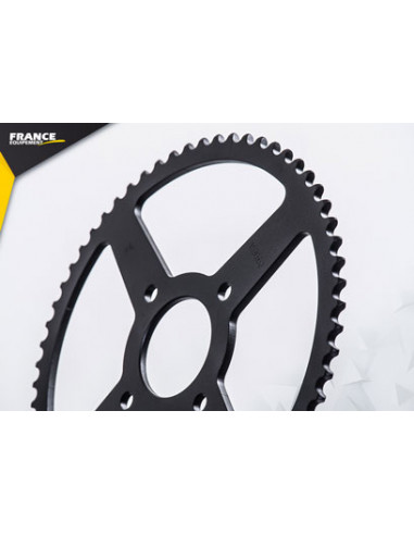 50.RIDER '19 11X62 RK420MXZ