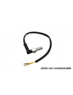 Vis contacteur banjo double M10x100