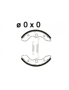 Mâchoire de freins AP RACING