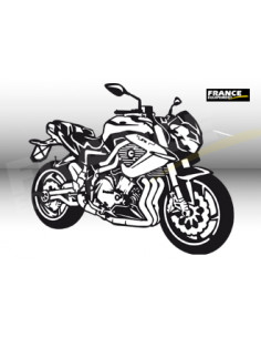 Décoration Laser Moto BENELLI 899.CAFE RACER '2010