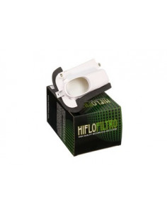 Filtre à air  HIFLOFILTRO  HFA4509