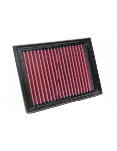 Replacement Air Filter