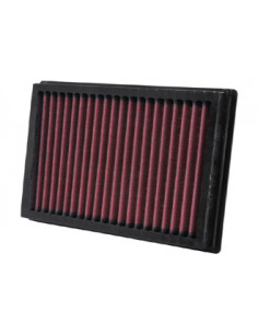 Replacement Air Filter
