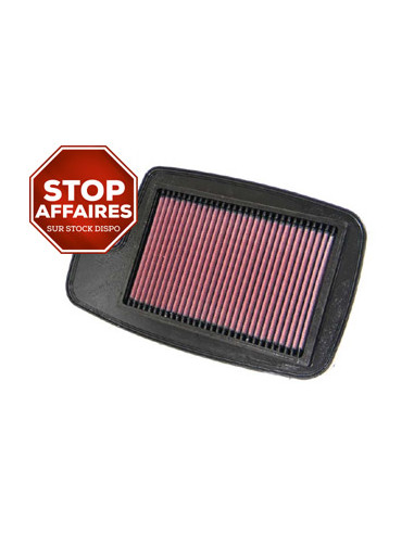 Replacement Air Filter