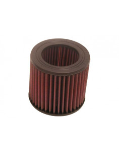 Replacement Air Filter