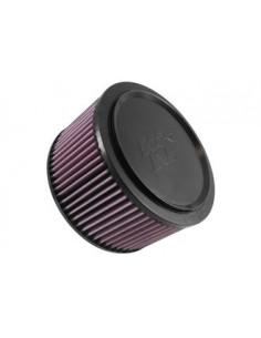 Replacement Air Filter