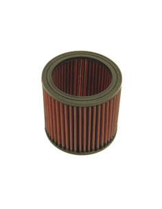 Replacement Air Filter