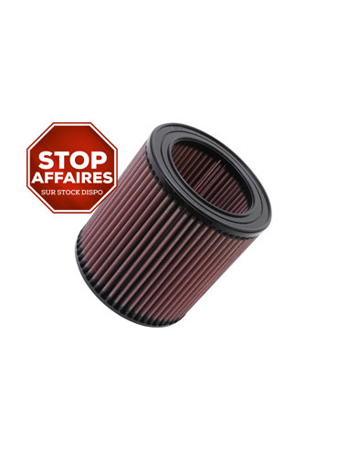 Replacement Air Filter
