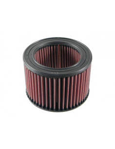 Replacement Air Filter