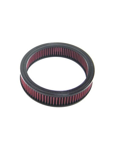 Replacement Air Filter