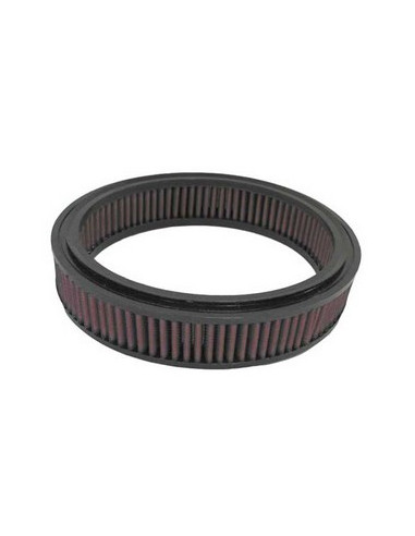 Replacement Air Filter