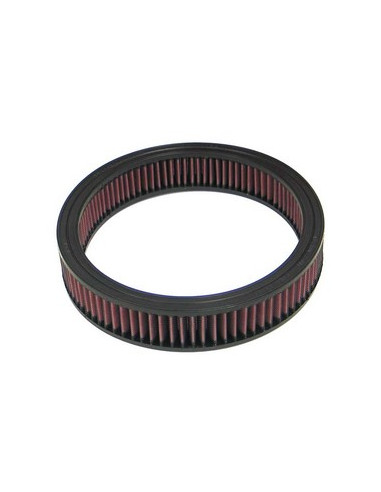 Replacement Air Filter