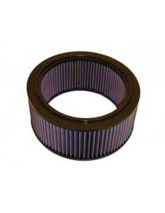 Replacement Air Filter