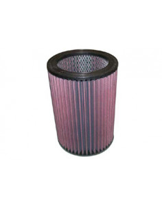 Replacement Air Filter