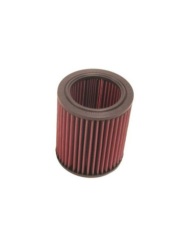 Replacement Air Filter
