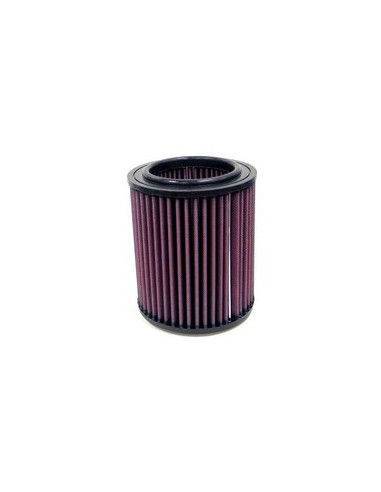 Replacement Air Filter