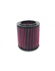 Replacement Air Filter