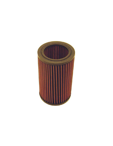 Replacement Air Filter