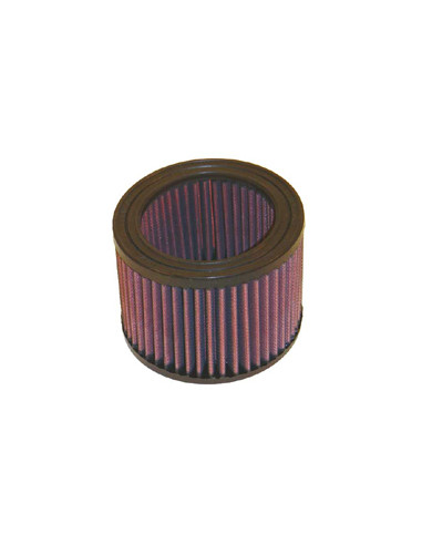 Replacement Air Filter